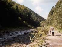 река Малая Шопурка